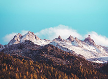 mk体育官网：引领体育迷新纪元的全方位体验