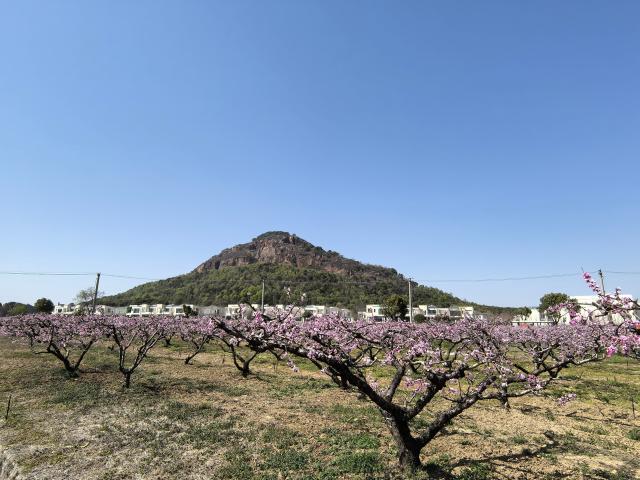 1742913893369083408.jpg 微信图片_20250325224246.jpg